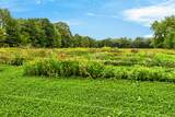 9247 Holden Road - Photo 23