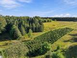 14398 15 Mile Road - Photo 48