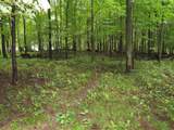 9741 Cutler Road - Photo 103