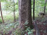 9741 Cutler Road - Photo 105