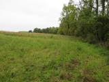 9741 Cutler Road - Photo 111