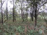 9741 Cutler Road - Photo 114