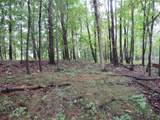 9741 Cutler Road - Photo 116