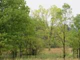 9741 Cutler Road - Photo 118