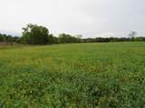 9741 Cutler Road - Photo 124