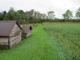 9741 Cutler Road - Photo 49