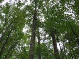9741 Cutler Road - Photo 81