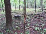 9741 Cutler Road - Photo 85