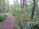 9741 Cutler Road - Photo 91