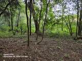 24072 Shurte Street - Photo 18