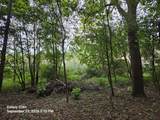 24072 Shurte Street - Photo 19