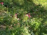 10920 Foreman Street - Photo 38