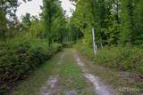 5626 Rhoby Road - Photo 13