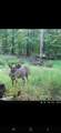 5626 Rhoby Road - Photo 17