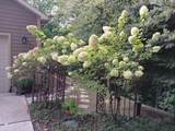 5376 Oak Point Road - Photo 7