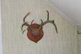 812 Lorenz Road - Photo 95
