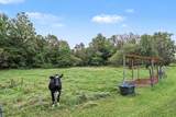 26233 County Road 687 - Photo 16