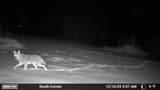 26233 County Road 687 - Photo 24