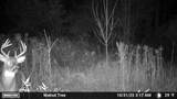 26233 County Road 687 - Photo 25