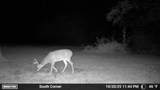 26233 County Road 687 - Photo 26