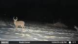 26233 County Road 687 - Photo 27