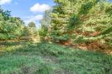 10688 Sherman Road - Photo 54