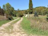 23150 1 Mile Road - Photo 8
