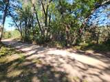 1051 Timberwolf Trail - Photo 12