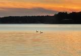 2973 Round Lake Highway - Photo 47