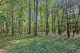 1570 Peterson Road - Photo 10