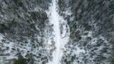 1570 Ryno Road - Photo 15