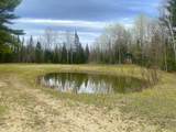 1570 Ryno Road - Photo 46