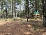 1570 Ryno Road - Photo 51