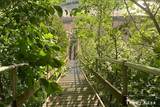 6934 Bendemeer Drive - Photo 42