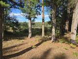 7426 Wiczer Drive - Photo 19