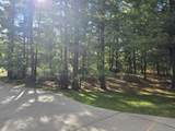 7426 Wiczer Drive - Photo 8