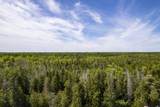 V/L #2 M-35 Cedar River Rd - Photo 18