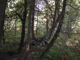 0-15271 Makinen Road - Photo 13