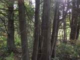 0-15271 Makinen Road - Photo 14