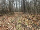 0 V/L Half Moon Lake Road - Photo 21