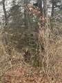 0 V/L Half Moon Lake Road - Photo 24