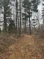 0 V/L Half Moon Lake Road - Photo 39