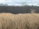 0 V/L Half Moon Lake Road - Photo 45
