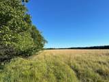 16244 Holden Road - Photo 2