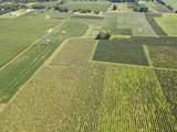 V/L Eidson Road - Photo 10