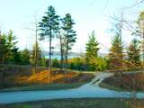  Indigo Trail - Photo 1