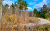  Indigo Trail - Photo 11