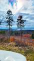 Indigo Trail - Photo 12