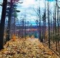  Indigo Trail - Photo 13