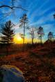 Indigo Trail - Photo 18